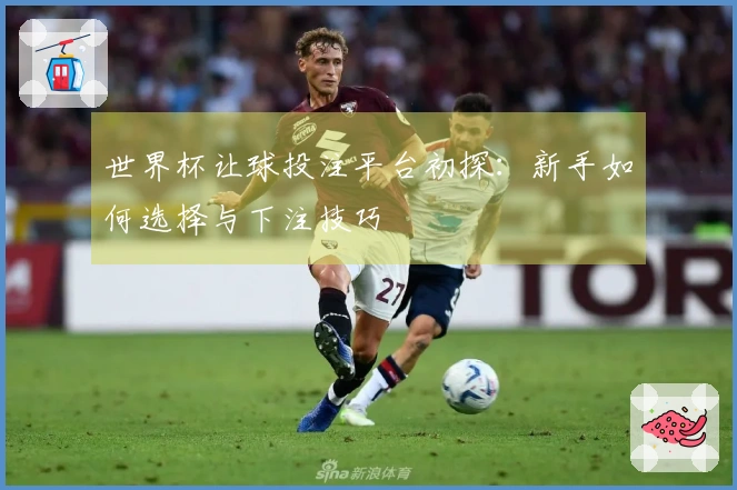 世界杯让球投注平台初探：新手如何选择与下注技巧