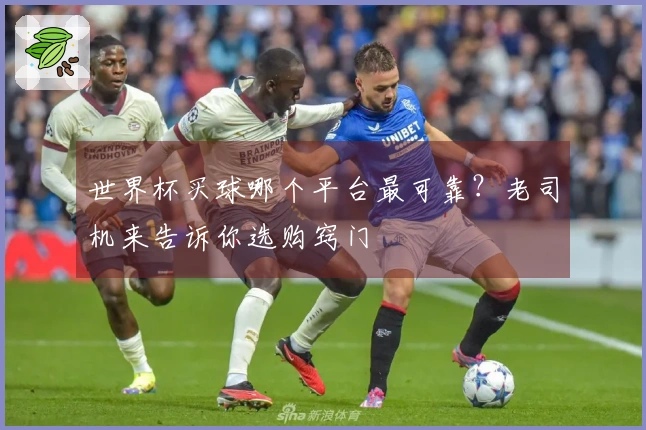 世界杯买球哪个平台最可靠？老司机来告诉你选购窍门