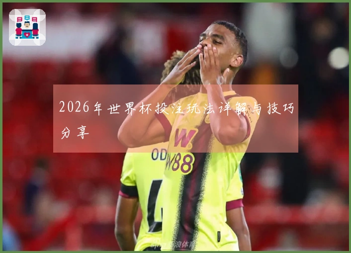 2026年世界杯投注玩法详解与技巧分享