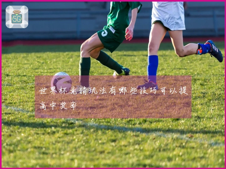 世界杯竞猜玩法有哪些技巧可以提高中奖率
