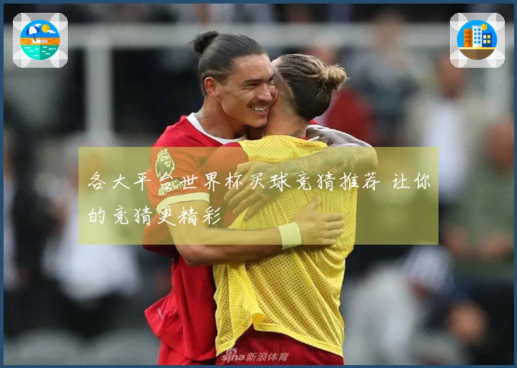 各大平台世界杯买球竞猜推荐 让你的竞猜更精彩