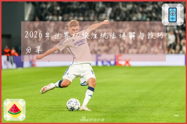 2026年世界杯投注玩法详解与技巧分享