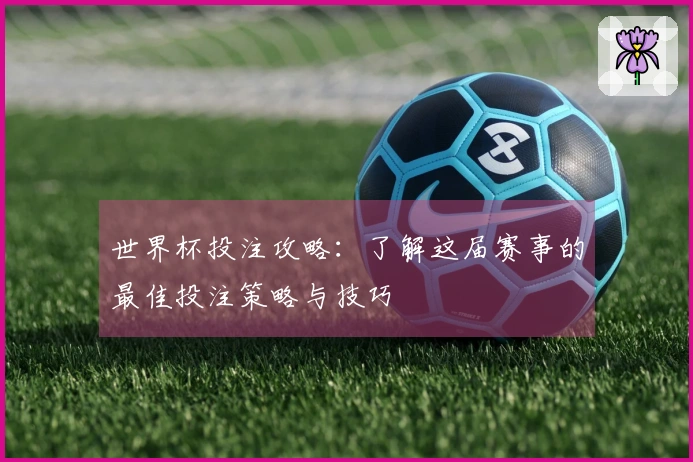 世界杯投注攻略：了解这届赛事的最佳投注策略与技巧