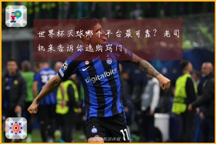 世界杯买球哪个平台最可靠？老司机来告诉你选购窍门
