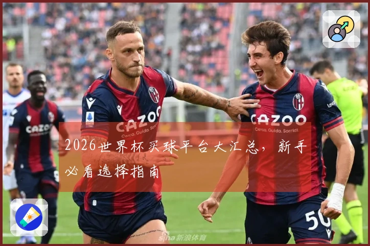2026世界杯买球平台大汇总，新手必看选择指南