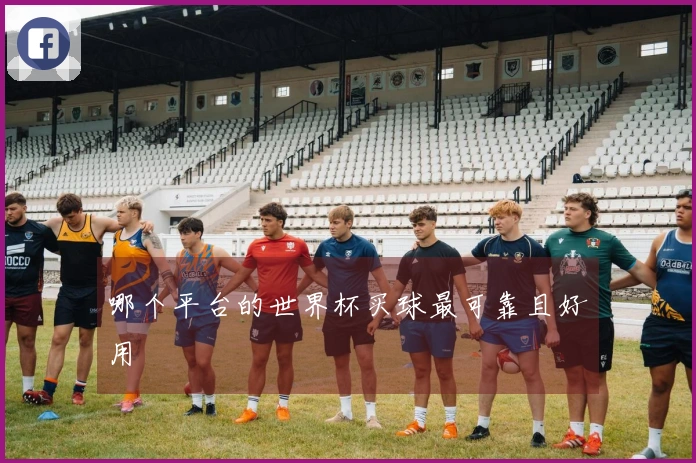 哪个平台的世界杯买球最可靠且好用