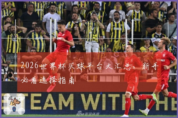 2026世界杯买球平台大汇总，新手必看选择指南